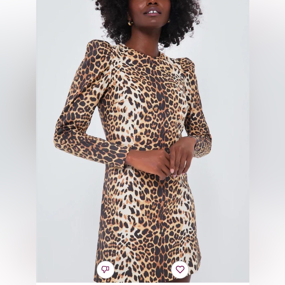 Tuckernuck Leopard Print Mini Dress